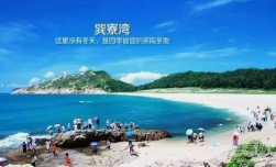 鑫創(chuàng)2018夏令營－美麗的巽寮灣